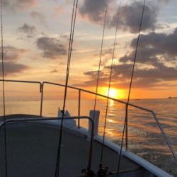 イカメタルリベンジ