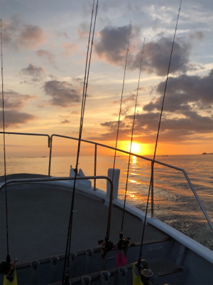 イカメタルリベンジ