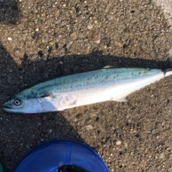 人工島でライトショアとワインド