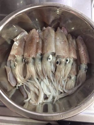 イカパラダイス