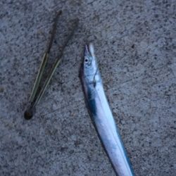 アタリはあるけど