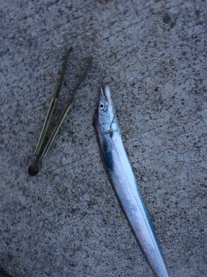 アタリはあるけど