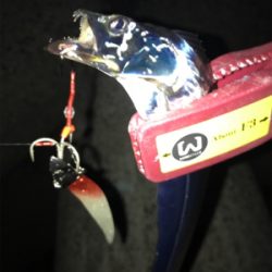 小さいけど、プチ爆発!