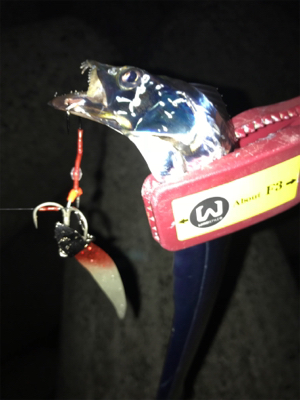 小さいけど、プチ爆発!