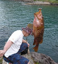 ロックフィッシュ