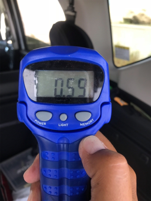 夏烏賊ゲット❗️