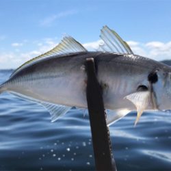 大津にてボート