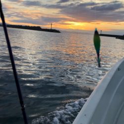 大阪湾 イカメタル ゲーム 大阪湾 オーシャンズ!