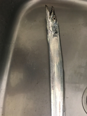 やっとこさの１匹