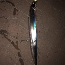 まだまだ細い!!