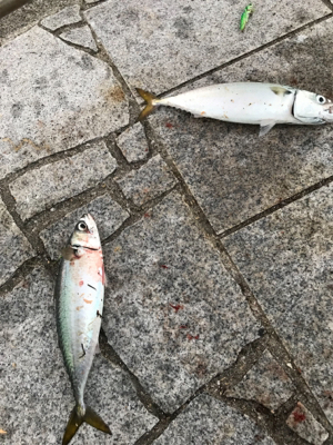 初めての淡路島