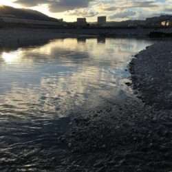 夕まづめナマズ釣り