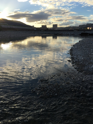 夕まづめナマズ釣り