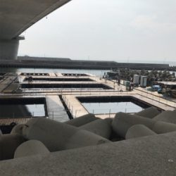 田尻の釣り堀にて