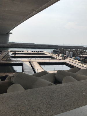 田尻の釣り堀にて