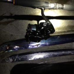 雑賀崎マジック