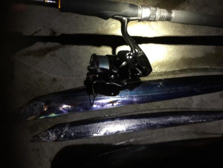 雑賀崎マジック