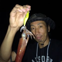 アオリイカ/ケンサキイカゲーム☆GUNNING-STYLE