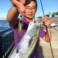 牙物系スタート？