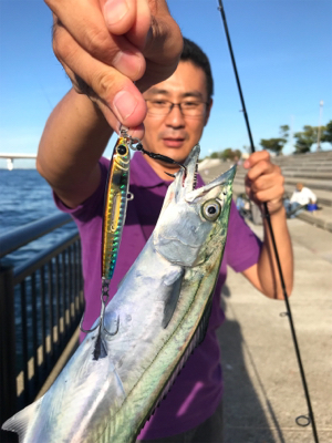 牙物系スタート？