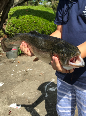 ビッグトラウトフィッーシュ！