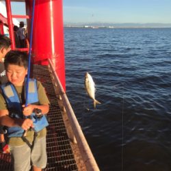 尼崎市魚釣公園