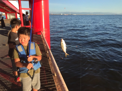 尼崎市魚釣公園