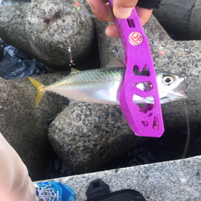 SLSJとULSJとサビキ