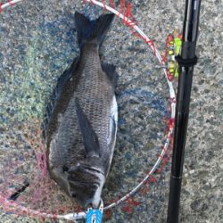 台風後の2日後は大時化！