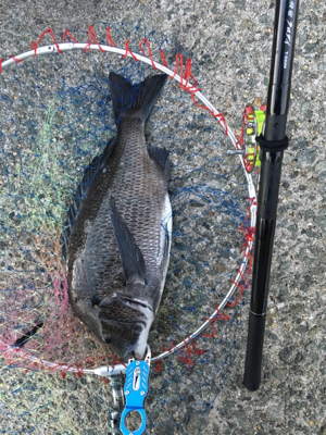 台風後の2日後は大時化！