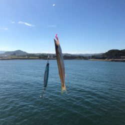 カマスパーティー