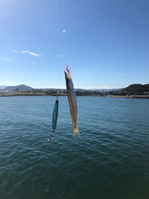 カマスパーティー