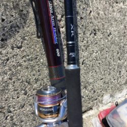 台風明けのムコイチ