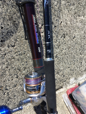 台風明けのムコイチ