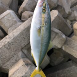 ショアジギ遠征