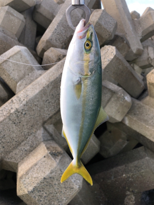 ショアジギ遠征