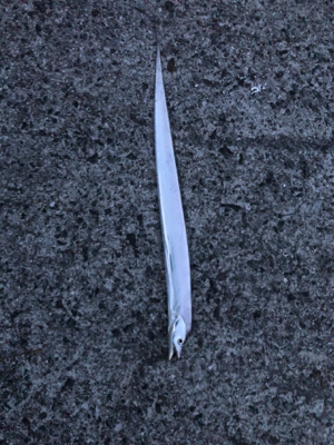 シーズン初タチウオ