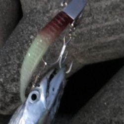 台風前と台風後、一転！