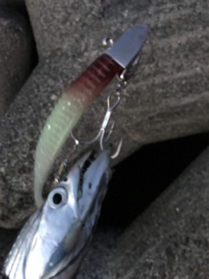 台風前と台風後、一転！