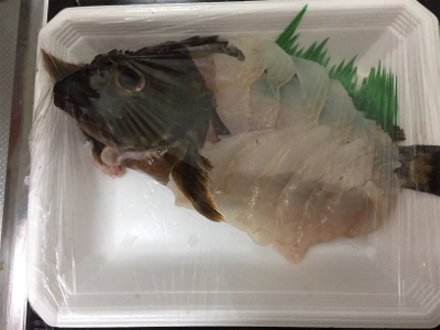 初の淡輪でサンマの切り身でガシラ狙い