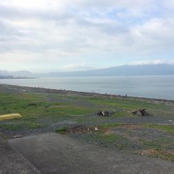 ショアジギング祭り