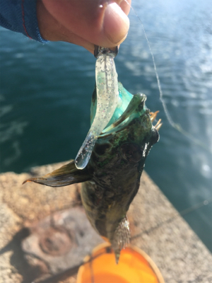 私だけに手厳しい（苦笑）