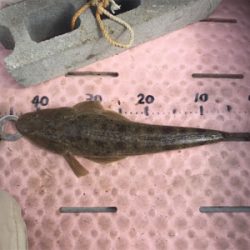 弟とマイボート釣行