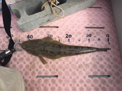 弟とマイボート釣行