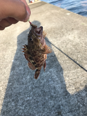 岸壁ブラクリ！