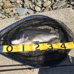 あと少しで年無し