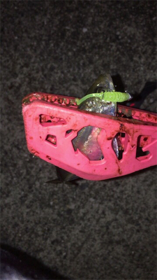 ランガン…ランラン?アジング