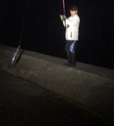 タチウオワインド