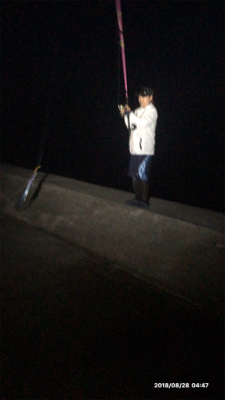 タチウオワインド