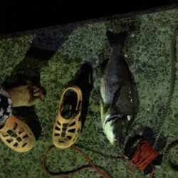 壱岐島釣行2日目